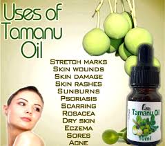 Organic Vegan Tamanu Facial Cream - Ancient Herbal Care