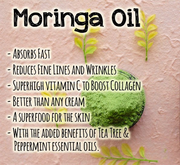 Moringa Tea Leaves (8 oz) - Ancient Herbal Care