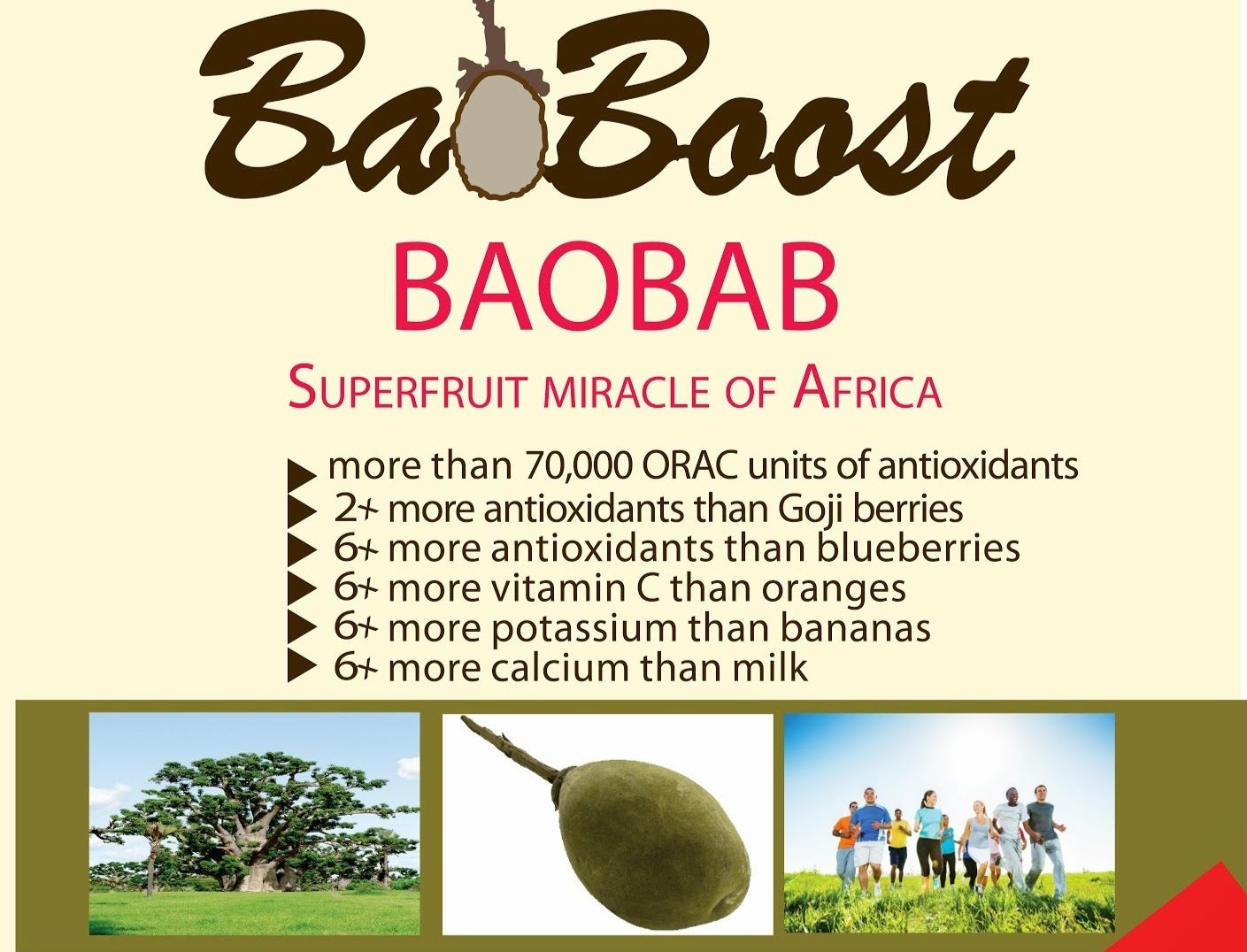 8oz Organic Vegan Baobab Powder - Ancient Herbal Care