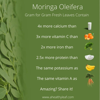 8oz Bag Of Moringa Tea Leaves - Ancient Herbal Care